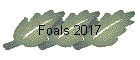 Foals 2017